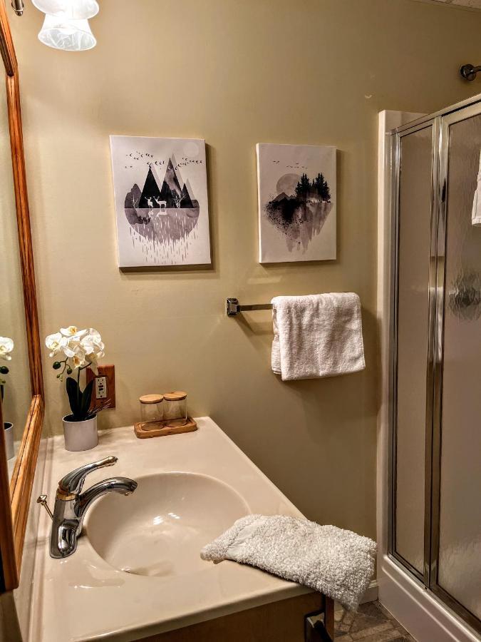 Ole Smoky Bnb - Game Room, Hot Tub, Mtn Views! ピジョンフォージ エクステリア 写真